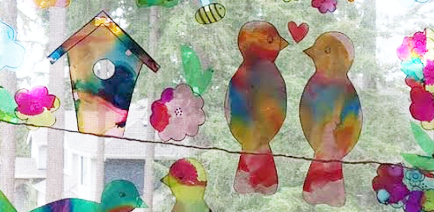 birds